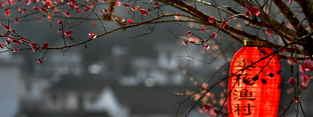 春來(lái)花開(kāi)，綻放正當(dāng)時(shí)