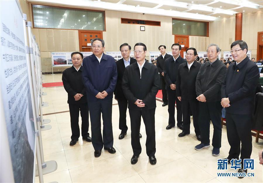 1月9日至10日，國(guó)務(wù)院副總理張高麗在安徽調(diào)研推動(dòng)長(zhǎng)江經(jīng)濟(jì)帶發(fā)展工作。這是1月10日，張高麗主持召開推動(dòng)長(zhǎng)江經(jīng)濟(jì)帶發(fā)展工作會(huì)議前聽取介紹。新華社記者 龐興雷 攝