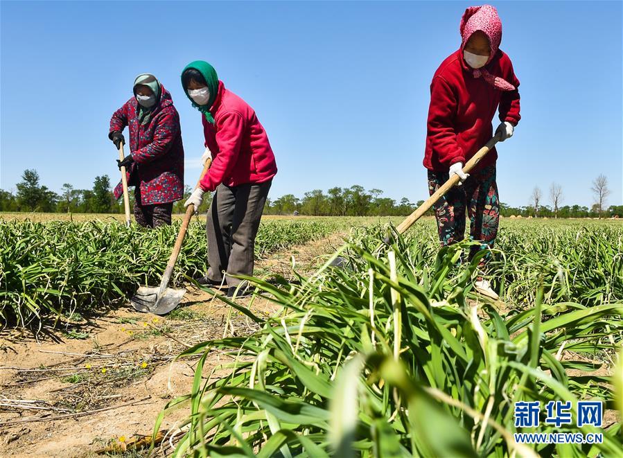 （新華全媒頭條·圖文互動(dòng)）（17）從人民中汲取磅礴力量——習(xí)近平總書記同出席2020年全國兩會(huì)人大代表、政協(xié)委員共商國是紀(jì)實(shí)