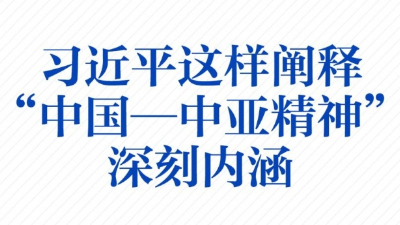 一圖學(xué)習(xí)！習(xí)近平這樣闡釋“中國(guó)—中亞精神”深刻內(nèi)涵