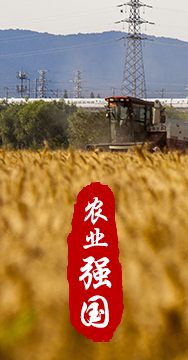 農(nóng)業(yè)強國是社會主義現(xiàn)代化強國的根基。