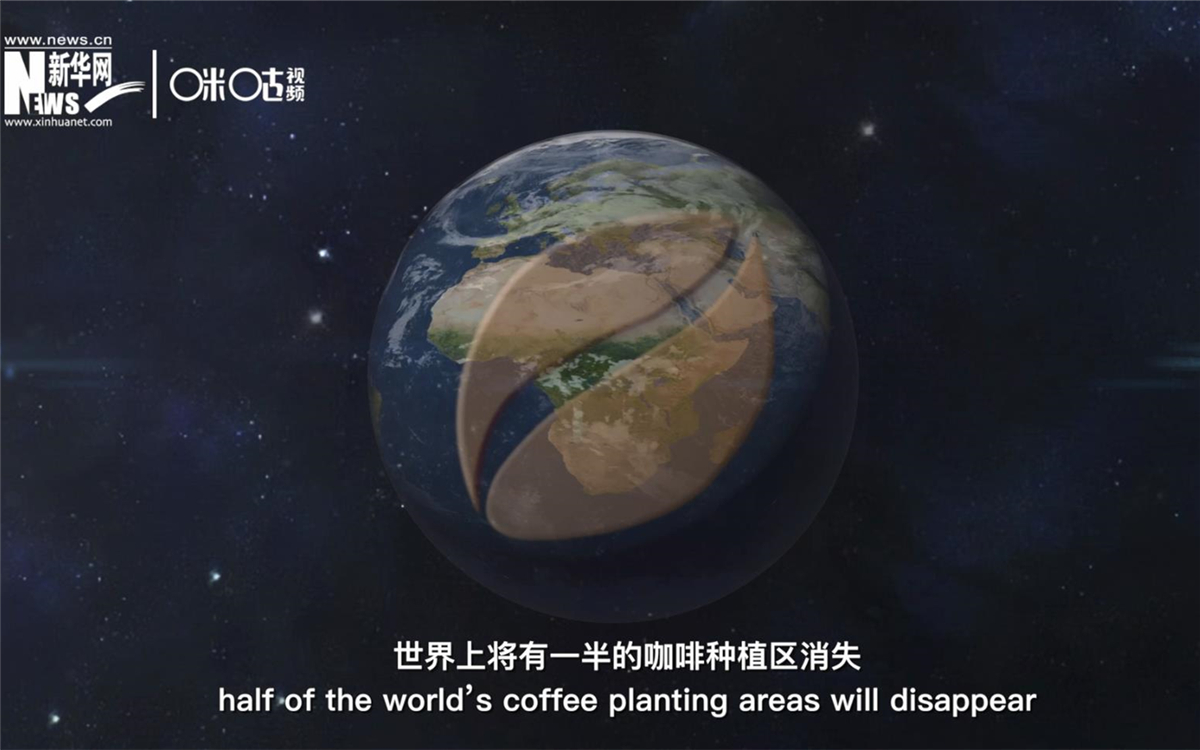 科學(xué)家預(yù)測到三十年后，世界上將有一半的咖啡種植區(qū)消失