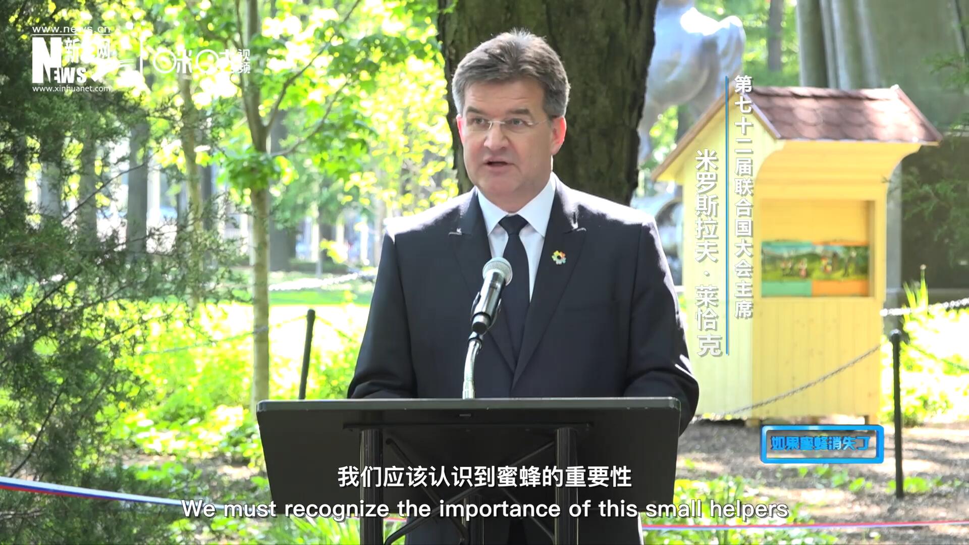我們應(yīng)該認(rèn)識到蜜蜂的重要性，所以我們用“世界蜜蜂日”提高大家保護(hù)蜜蜂的意識，并且用實際行動去保護(hù)蜜蜂