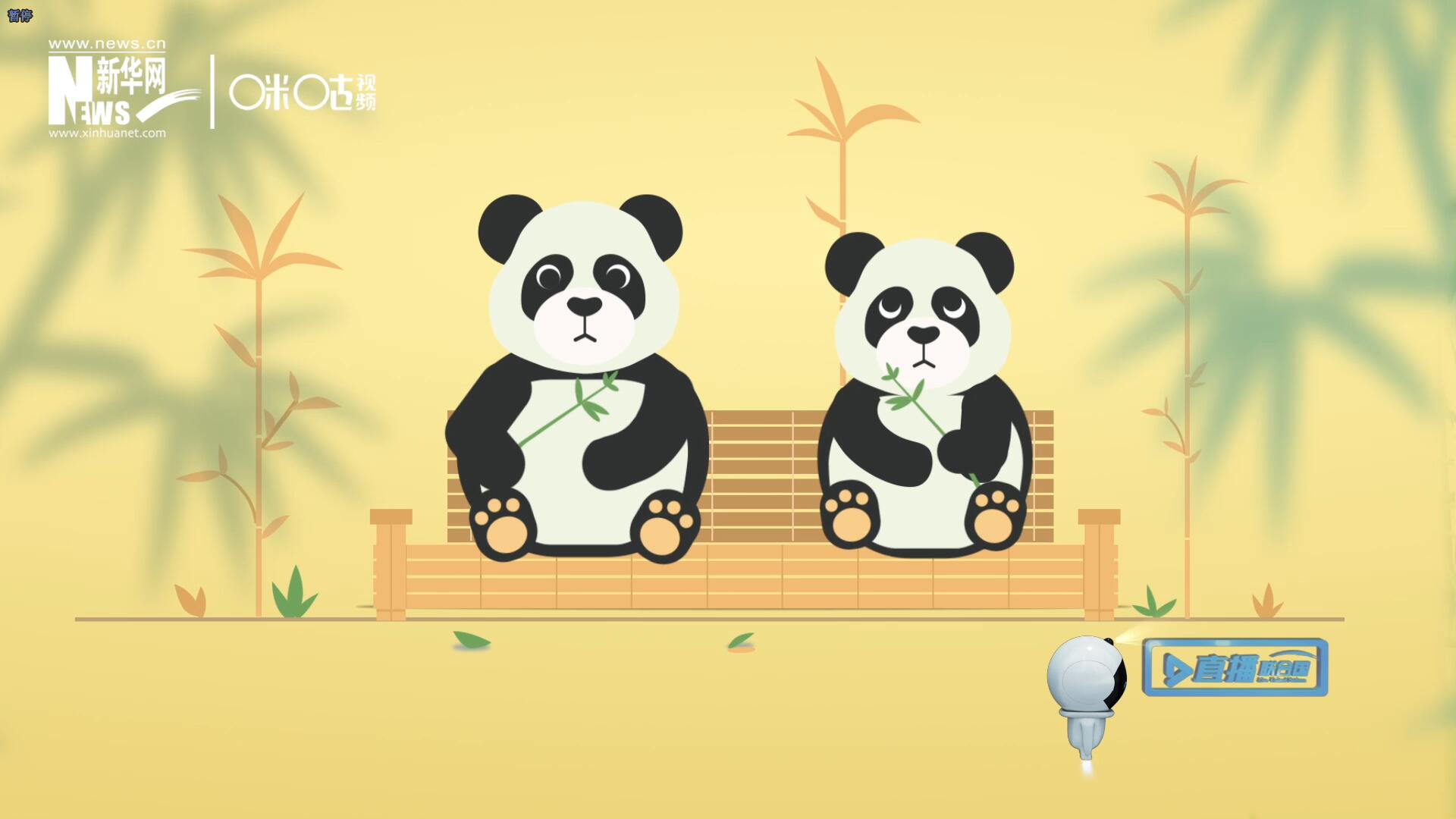 “哥哥你看，又有人來看我們了。”“有什么奇怪的，我們可是聯(lián)合國‘最萌’的大使?。?rdquo;。