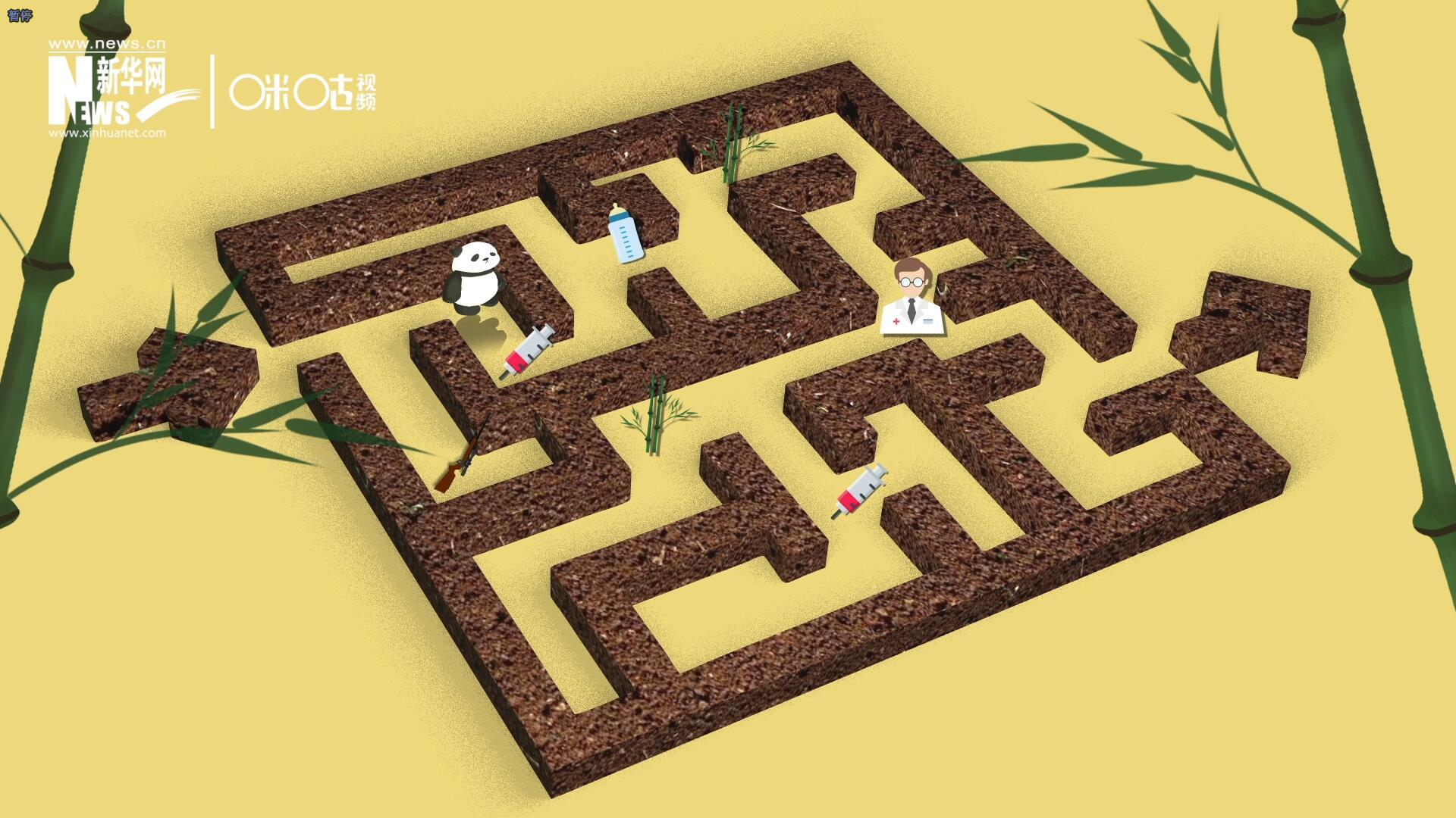 2016年，國際自然保護(hù)聯(lián)盟將大熊貓的物種瀕危等級，從“瀕危”下降到了“易危”。