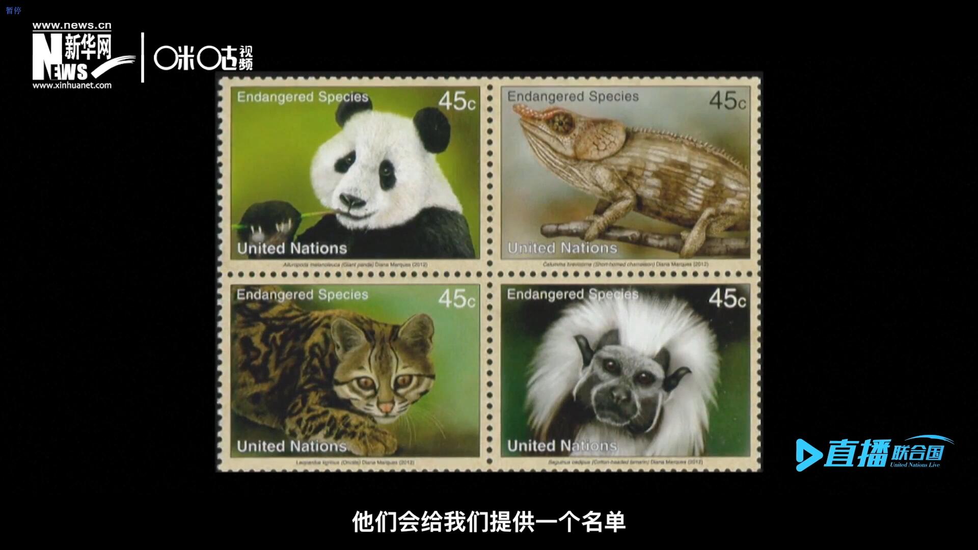 CITES（瀕危野生動(dòng)植物種國(guó)際貿(mào)易公約）會(huì)給聯(lián)合國(guó)郵政設(shè)計(jì)師提供一個(gè)名單，雙方共同合作在附錄中找到名單中應(yīng)該受到關(guān)注的動(dòng)物。