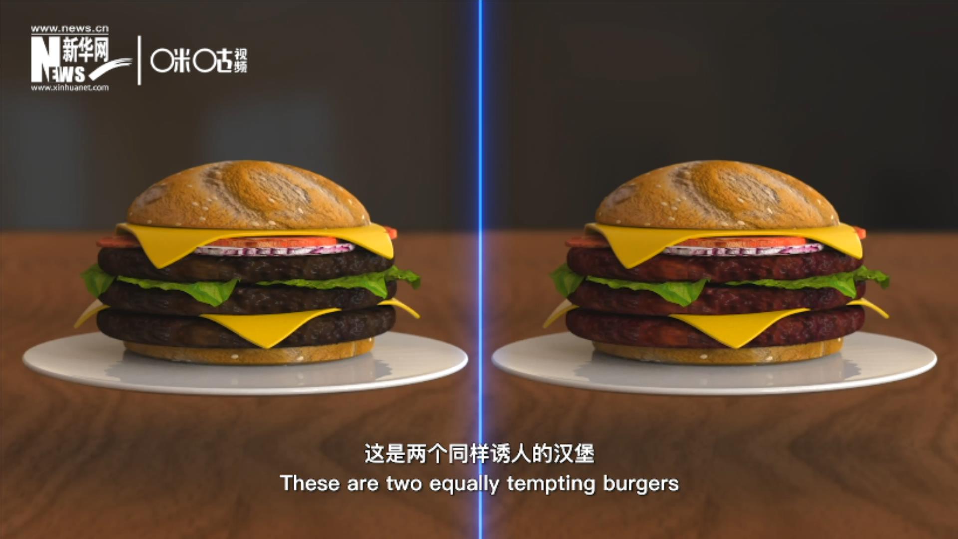 人造肉漢堡能在生產(chǎn)過程中節(jié)約水、土地、排放以及能量