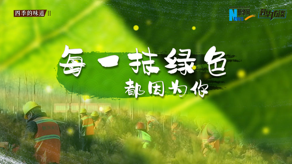 千年秀林，每一抹綠色都因為你
