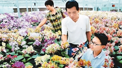 臺商眼中的改革開放：風景這邊獨好 要去，要去，要去！
