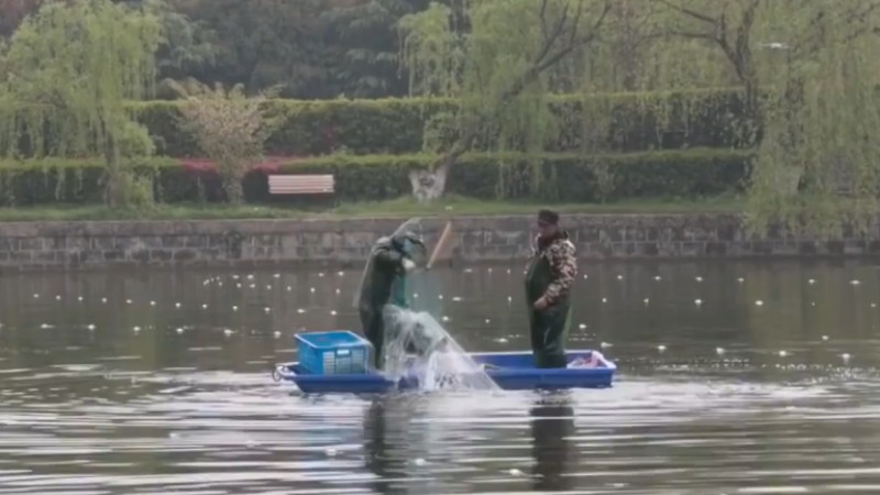 別人家的學(xué)校！安師大請師生吃一萬斤魚