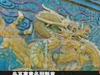 《探索發(fā)現》中華龍遠古尋蹤（上）
